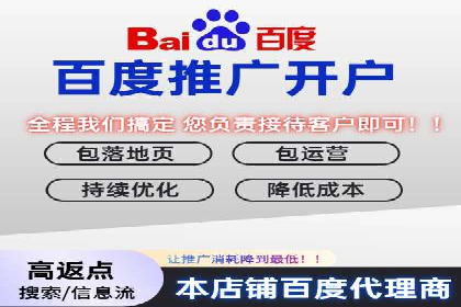 百度竞价广告：实战案例助力企业营销升级